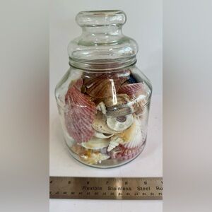 Glass Jar with Assorted Seashells